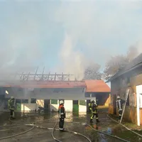 2010-10-21_brand_weingarten_2.jpg