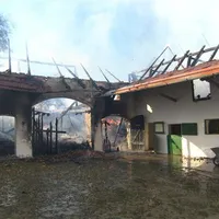 2010-10-21_brand_weingarten_3.jpg