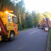 2012-08-01_vu_jetzendorfer_wald_2.jpg
