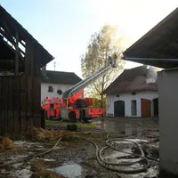 2010-10-21_brand_weingarten_6.jpg